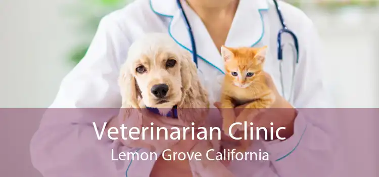 Veterinarian Clinic Lemon Grove California