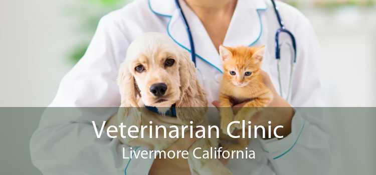 Veterinarian Clinic Livermore California