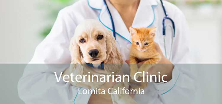 Veterinarian Clinic Lomita California