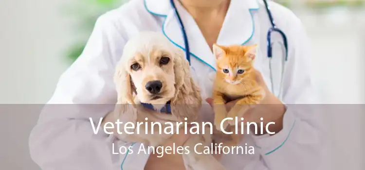 Veterinarian Clinic Los Angeles California