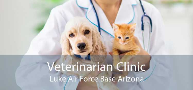 Veterinarian Clinic Luke Air Force Base Arizona