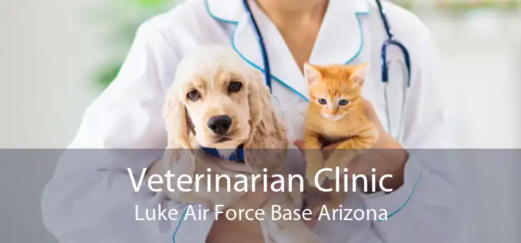Veterinarian Clinic Luke Air Force Base Arizona