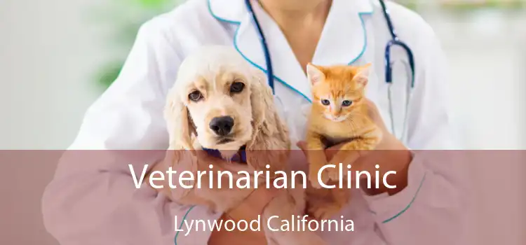 Veterinarian Clinic Lynwood California