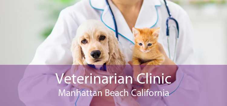Veterinarian Clinic Manhattan Beach California