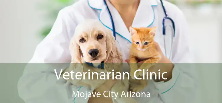 Veterinarian Clinic Mojave City Arizona