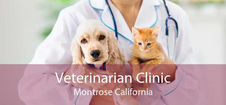 Veterinarian Clinic Montrose California