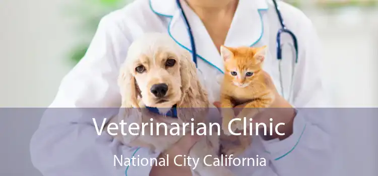 Veterinarian Clinic National City California