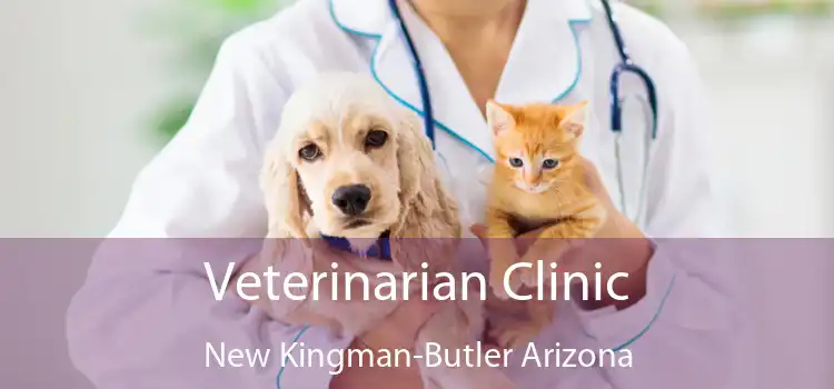 Veterinarian Clinic New Kingman-Butler Arizona