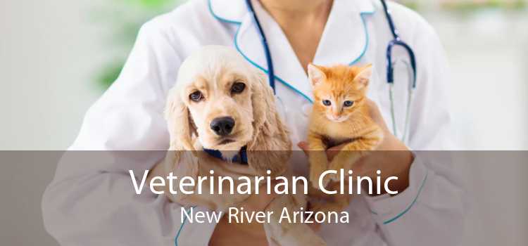 Veterinarian Clinic New River Arizona