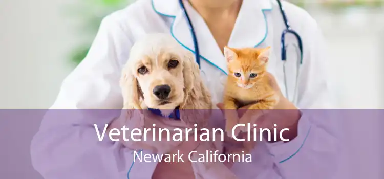Veterinarian Clinic Newark California