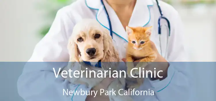 Veterinarian Clinic Newbury Park California