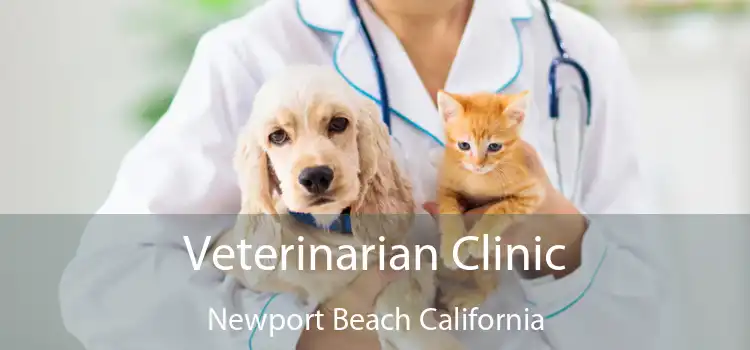 Veterinarian Clinic Newport Beach California