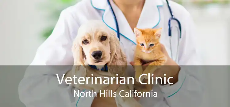Veterinarian Clinic North Hills California