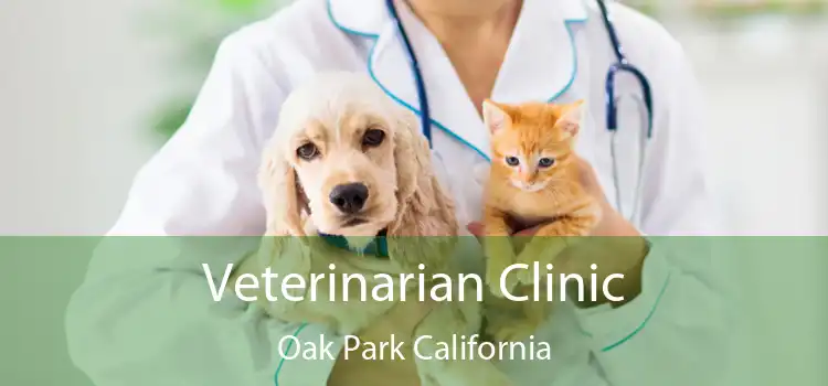 Veterinarian Clinic Oak Park California