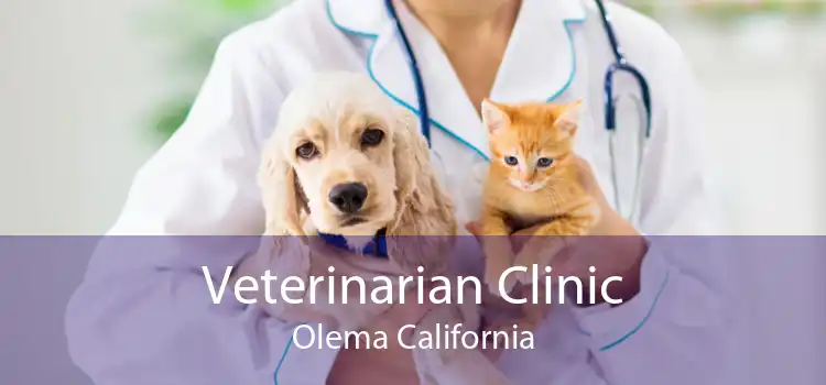 Veterinarian Clinic Olema California