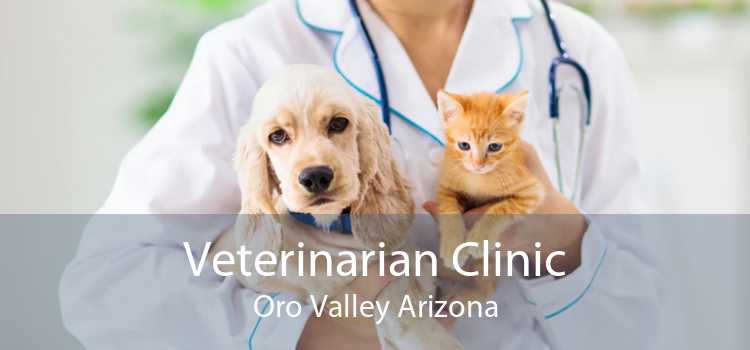 Veterinarian Clinic Oro Valley Arizona