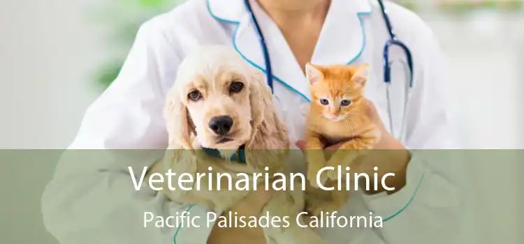 Veterinarian Clinic Pacific Palisades California