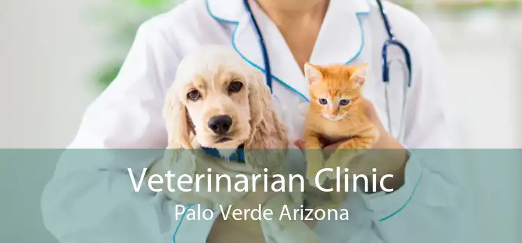 Veterinarian Clinic Palo Verde Arizona