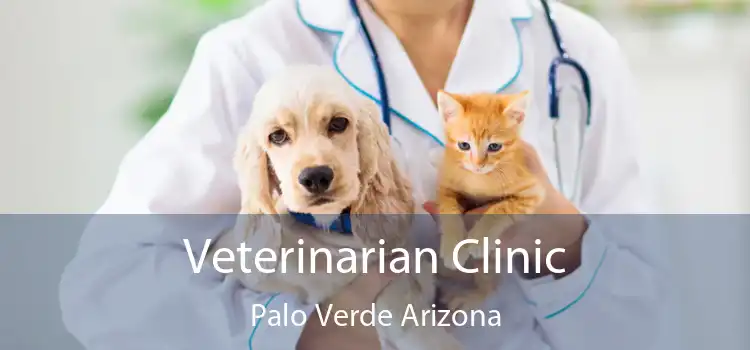Veterinarian Clinic Palo Verde Arizona