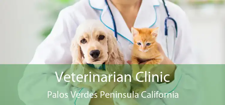 Veterinarian Clinic Palos Verdes Peninsula California