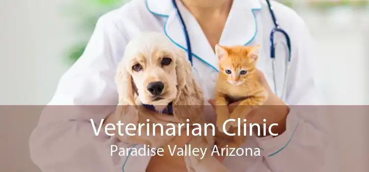 Veterinarian Clinic Paradise Valley Arizona