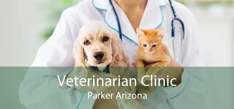 Veterinarian Clinic Parker Arizona