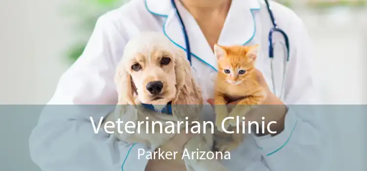 Veterinarian Clinic Parker Arizona