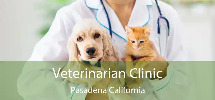 Veterinarian Clinic Pasadena California