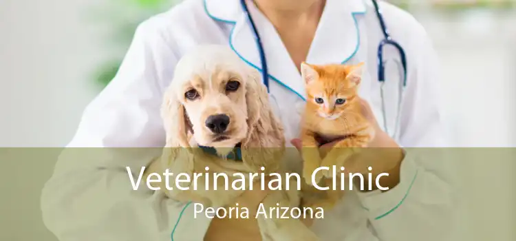 Veterinarian Clinic Peoria Arizona