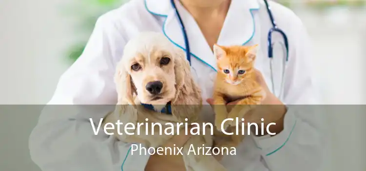 Veterinarian Clinic Phoenix Arizona