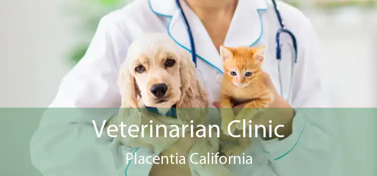 Veterinarian Clinic Placentia California