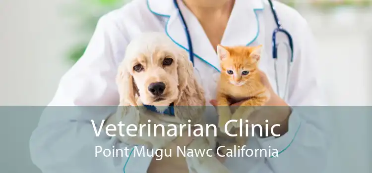 Veterinarian Clinic Point Mugu Nawc California