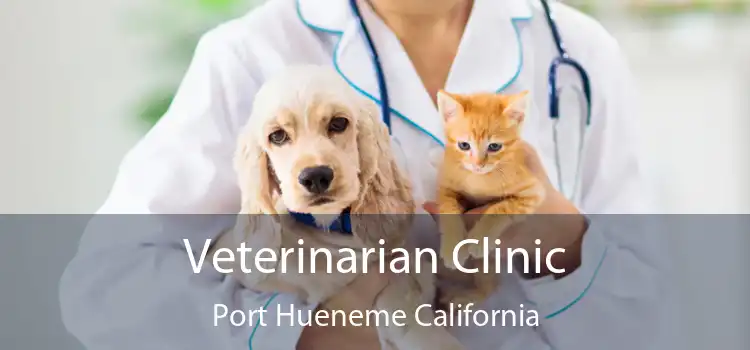 Veterinarian Clinic Port Hueneme California