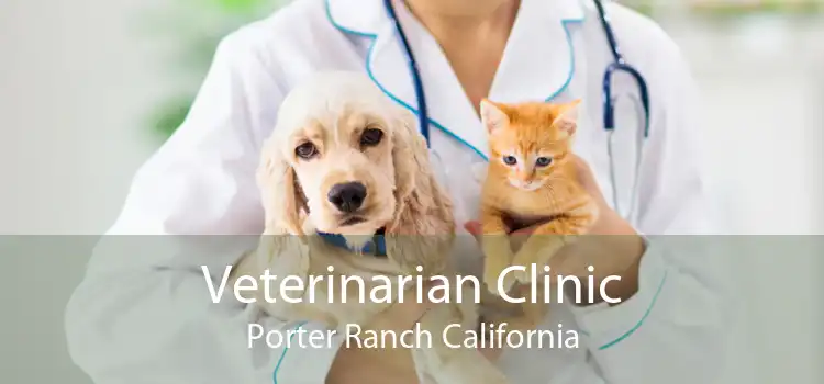 Veterinarian Clinic Porter Ranch California