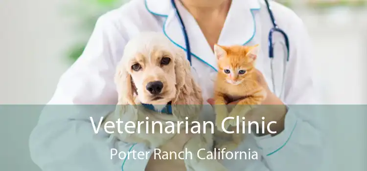 Veterinarian Clinic Porter Ranch California