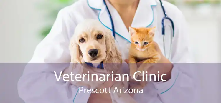 Veterinarian Clinic Prescott Arizona