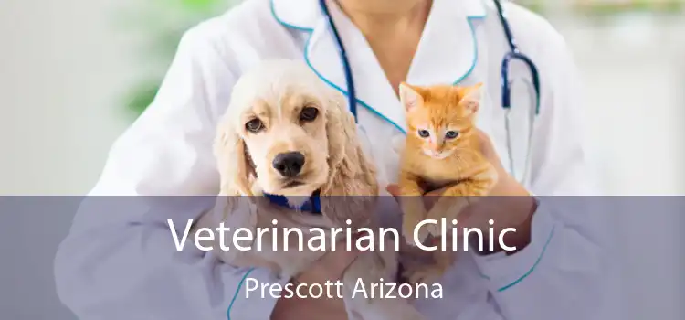 Veterinarian Clinic Prescott Arizona