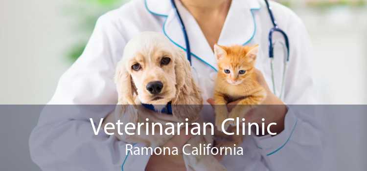 Veterinarian Clinic Ramona - Emergency Vet And Pet Clinic Near Me