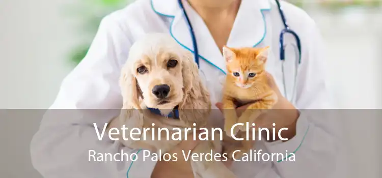 Veterinarian Clinic Rancho Palos Verdes California