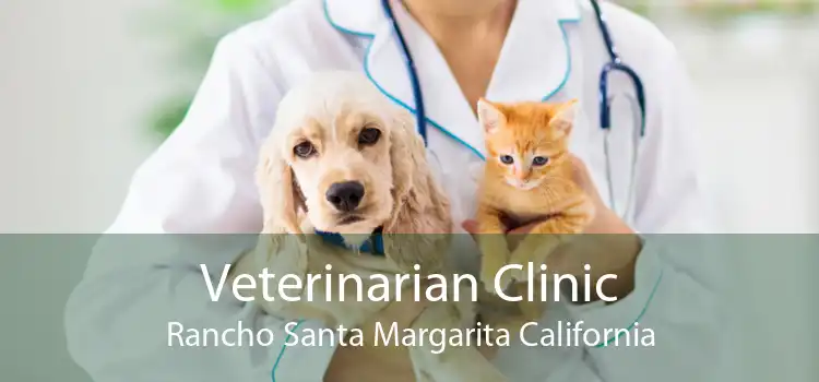 Veterinarian Clinic Rancho Santa Margarita California