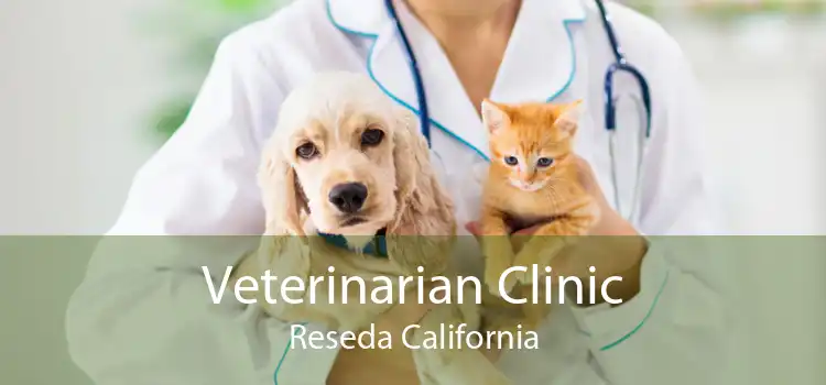 Veterinarian Clinic Reseda California