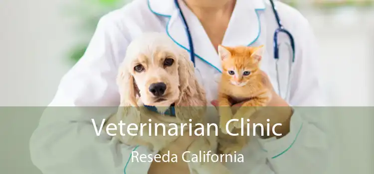 Veterinarian Clinic Reseda California