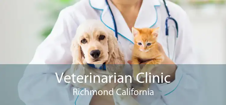 Veterinarian Clinic Richmond California