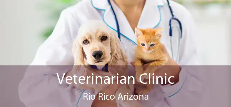 Veterinarian Clinic Rio Rico Arizona