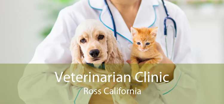Veterinarian Clinic Ross California