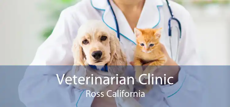 Veterinarian Clinic Ross California
