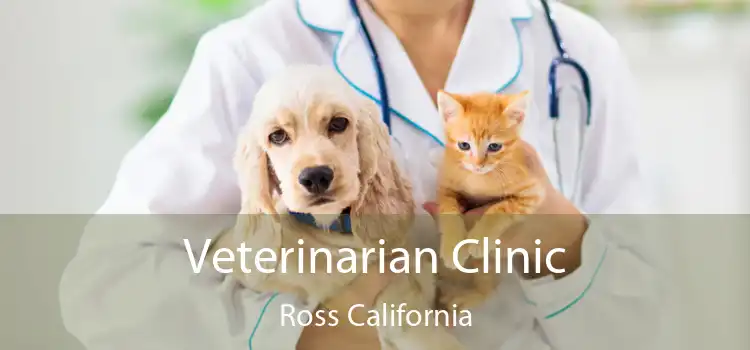 Veterinarian Clinic Ross California