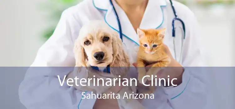 Veterinarian Clinic Sahuarita Arizona