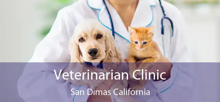 Veterinarian Clinic San Dimas California