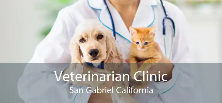 Veterinarian Clinic San Gabriel California